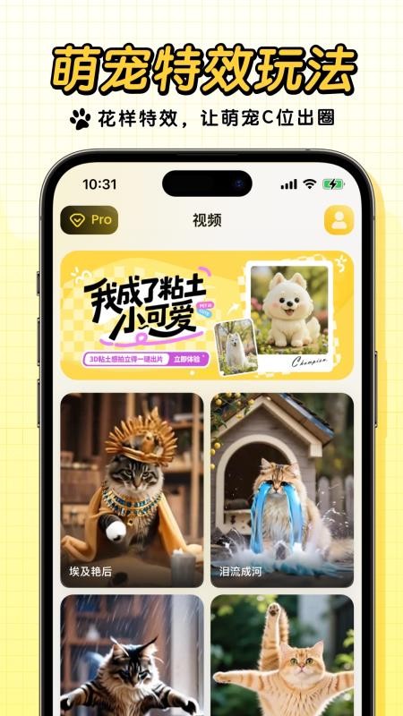 宠玩截图