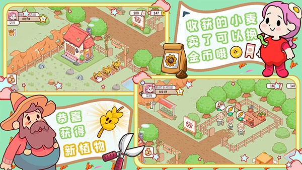 我的迷你农场 v1.1 1