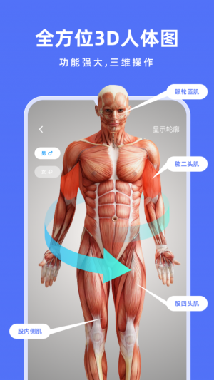 解剖学 v1.1.0 0